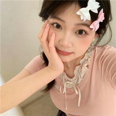美国豚鼠
